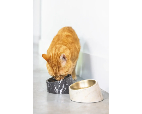 Katze frisst aus einer erhöhten Futterschale aus Marmor