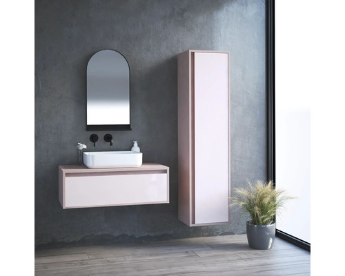 Salle de bains moderne avec meuble-lavabo, miroir, armoire haute et plante