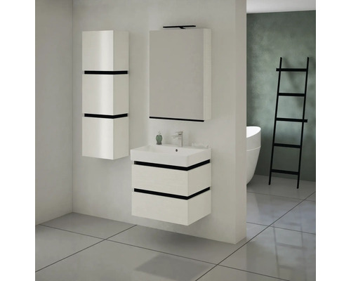 Salle de bains moderne avec meuble sous-lavabo, armoire de toilette et armoire haute