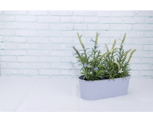 Dekorative Kunstpflanze Lavendel in einem silberfarbenen Pflanzgefäß.
