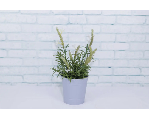 Lavande artificielle en pot