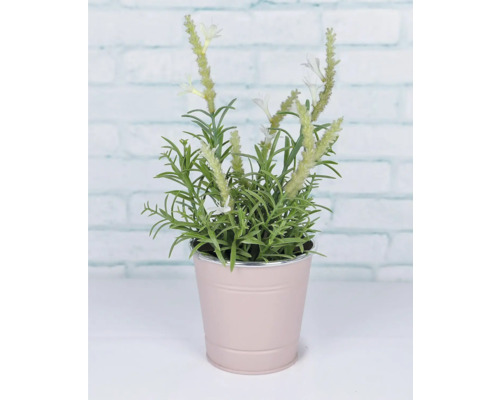 Plante artificielle décorative avec des fleurs blanches dans un pot