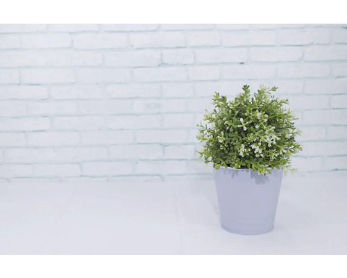 Kunstpflanze im Topf als Dekoration