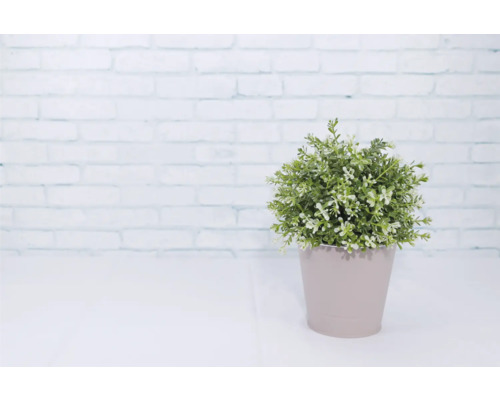 Kunstpflanze im Topf