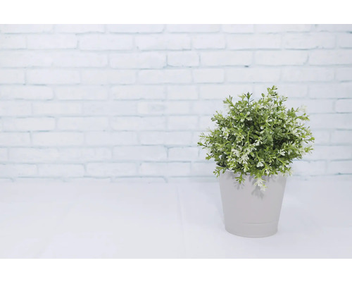 Kunstpflanze in einem Topf