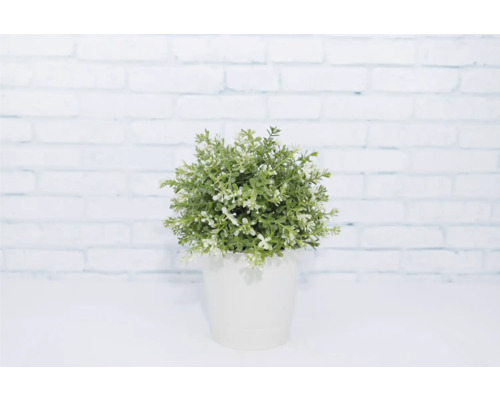 Kunstpflanze im Topf als Dekoration