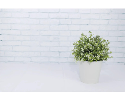 Kunstpflanze im Topf vor einer Ziegelwand