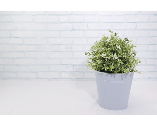 Kunstpflanze im Topf