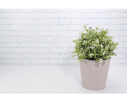 Plante artificielle en pot comme décoration