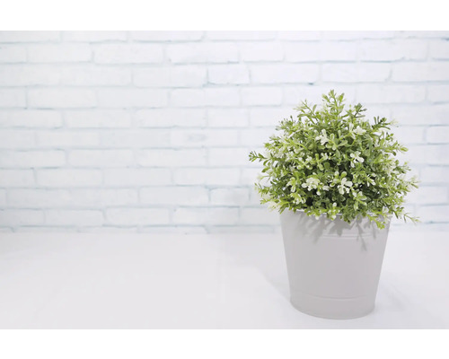 Kunstpflanze im Topf