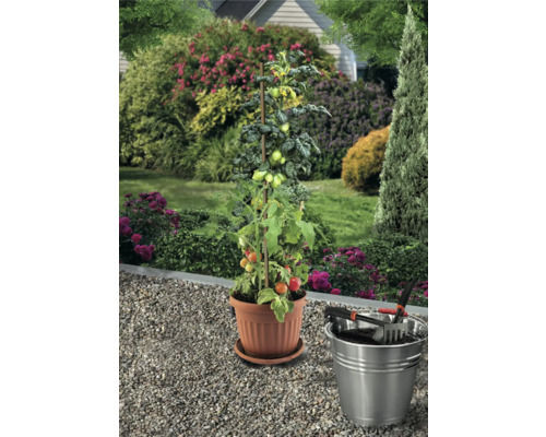 Tomatenpflanze mit Holzstütze in einem Topf, zusammen mit einem Eimer und Gartengeräten im Garten.