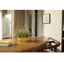 Salle à manger avec table en bois, chaises et plante en pot