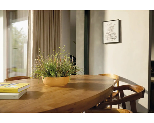 Salle à manger avec table en bois, chaises et plante en pot