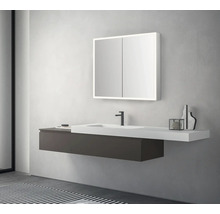 LED Spiegelschrank DSK Silver King BxHxT 80x70x13 cm alufarben