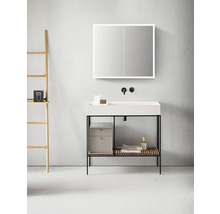 LED Spiegelschrank DSK Silver King BxHxT 80x70x13 cm alufarben