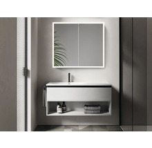 LED Spiegelschrank DSK Silver King BxHxT 80x70x13 cm alufarben