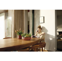 Intérieur lumineux avec table en bois et pots de fleurs plantés