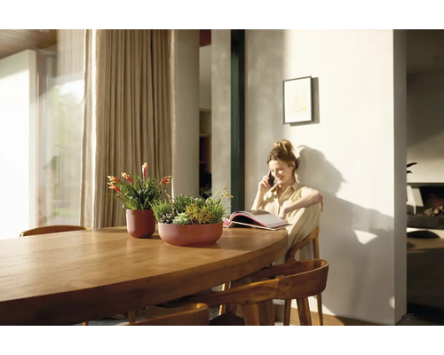 Intérieur lumineux avec table en bois et pots de fleurs plantés