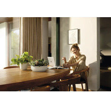 Appartement lumineux avec table en bois, plantes d''intérieur, femme avec ordinateur portable et boisson