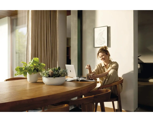 Appartement lumineux avec table en bois, plantes d''intérieur, femme avec ordinateur portable et boisson