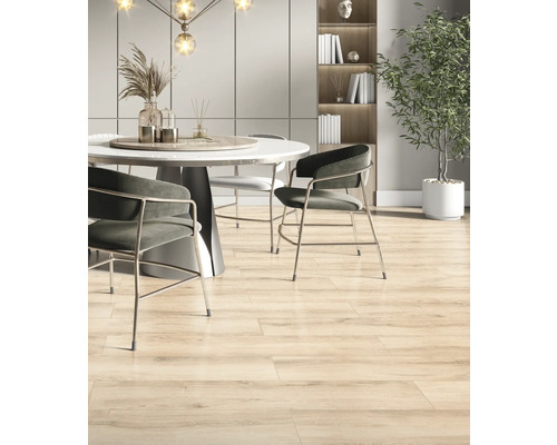 Esszimmer mit Esstisch, Stühlen und Holzbodenfliesen