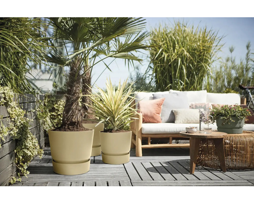 Terrasse mit Pflanzen in Pflanzgefäßen und Lounge Möbeln