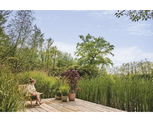 Scène de jardin avec terrasse en bois, pots plantés et une personne assise sur une chaise, entourée de verdure luxuriante