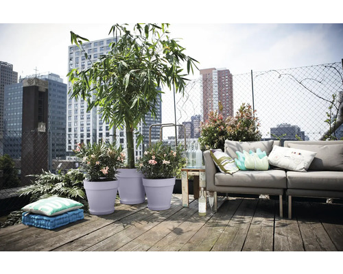 Dachterrasse mit Pflanzen in Töpfen, Sofa und Blick auf die Stadt