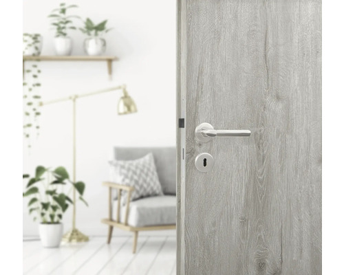 Porte intérieure décorative avec poignée de porte dans une pièce lumineuse