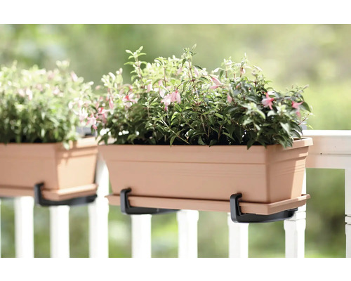 Blumenkasten mit Halterung und Pflanzen auf einem Geländer