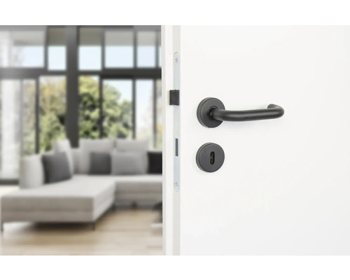 Porte avec poignée de porte noire dans un espace de vie lumineux