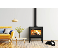 Salon avec poêle à bois, canapé, table, suspension et chat