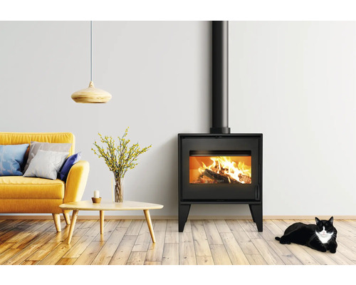 Salon avec poêle à bois, canapé, table, suspension et chat