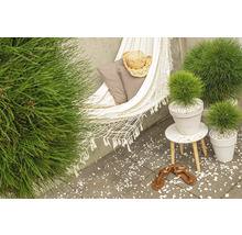 Gartenambiente mit Hängematte, Kissen, Hut, Pflanzen im Topf, Beistelltisch und Sandalen