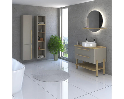 Salle de bains moderne avec meuble-lavabo, armoire de toilette, étagère et plante