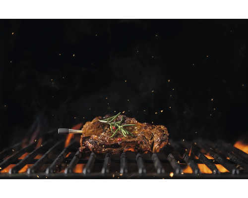 Gegrilltes Steak mit Rosmarin auf einem Grillrost