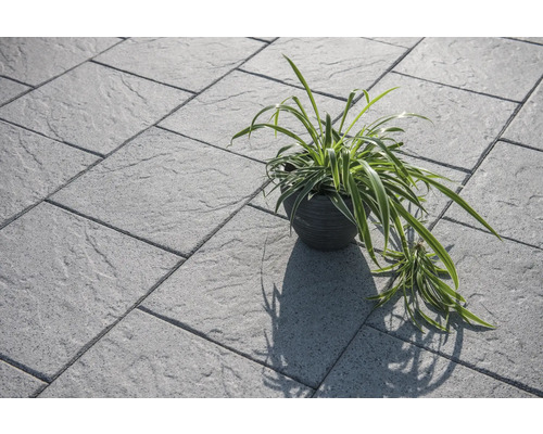 Graue Pflastersteine mit Topfpflanze