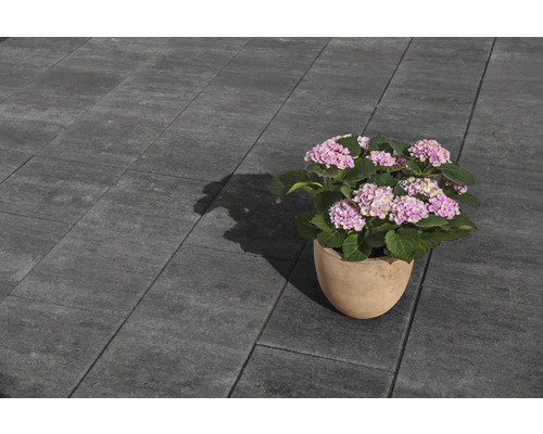 Graue Pflastersteine mit Topfblume