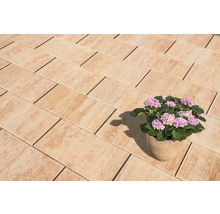 Beton Terrassenplatte iStone Value sandstein 60 cm x 30 cm x 4 cm