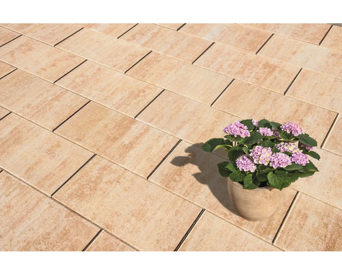 Verlegte Pflastersteine mit blühender Hortensie im Topf