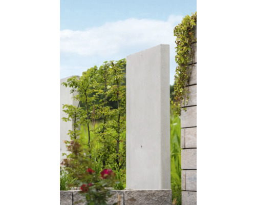 Panneau de protection visuelle en béton avec des plantes