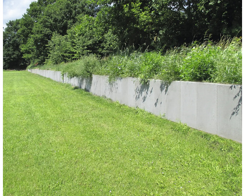 Graue Betonstützmauer mit Vegetation in Gartenanlage.