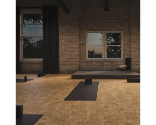 Intérieur avec tapis de yoga, blocs, fenêtres et maçonnerie