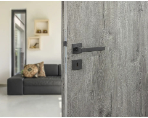 Zimmertür mit modernem Türgriff in einem hellen Wohnraum