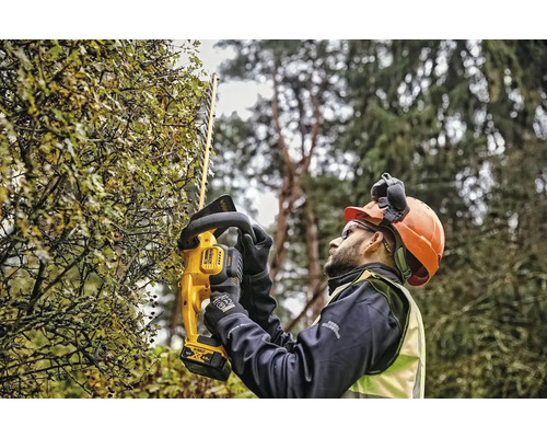 Homme avec taille-haie sans fil DeWalt en train de tailler une haie