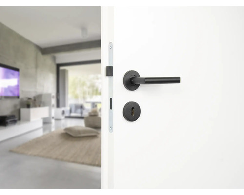 Tür mit schwarzem Türdrücker in modernem Wohnraum