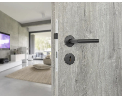 Innentür mit Beschlägen und Blick in ein Wohnzimmer