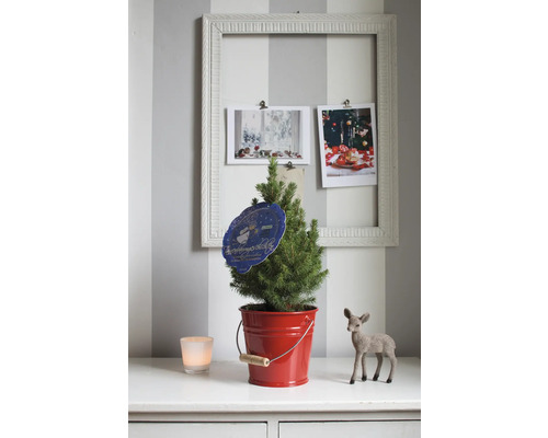 Arbre de Noël dans un seau rouge avec décoration sur commode