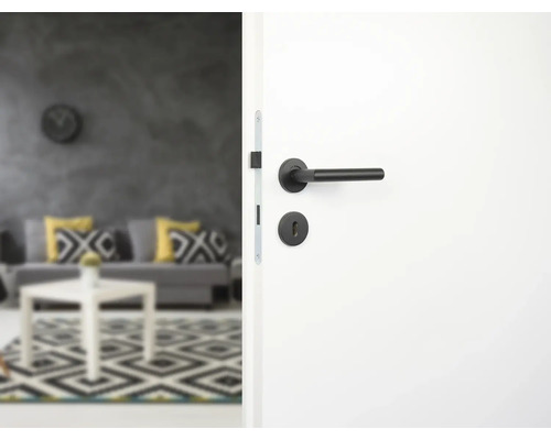 Porte blanche avec poignée de porte noire et vue sur un salon