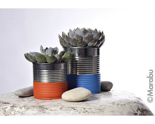 Deux boîtes de conserve plantées avec des plantes grasses et des pierres sur un plateau de table.